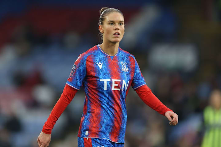 Crystal Palace v Manchester City - Barclays Super League